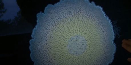 Veliko otkriće na Ruđeru - 9