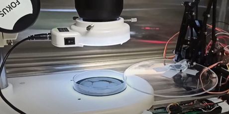 Veliko otkriće na Ruđeru - 10