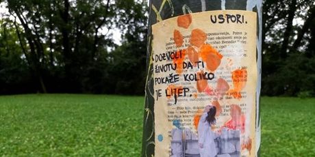 Lutajuća knjiga, Zagreb - 12