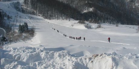 Bjelolasica - 8