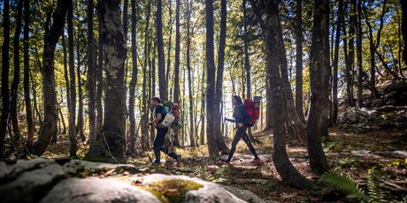 Highlander Velebit - 12