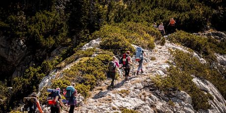 Highlander Velebit - 13