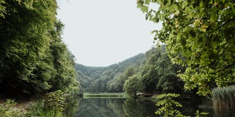 Park-šuma Jankovac