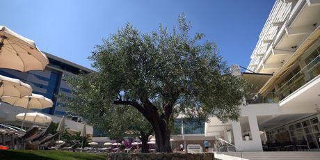 Hotel Olympia Sky