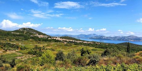 Pelješki vrtovi - 4