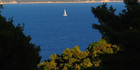 Mljet - 2