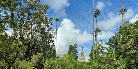 Sevilla - 8