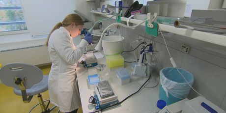 Laboratorij: Ilustracija - 1