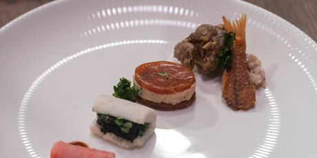 Recept za stres test chefa Zirojevića - 5