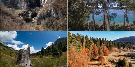Plitvička jezera, Mljet, Sjeverni Velebit i Risnjak