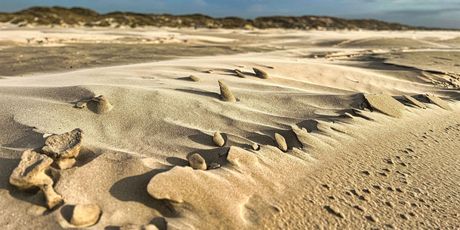 Sylt - 2