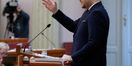 Ministar financija Marko Primorac u Saboru - 2