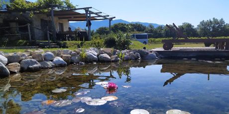 Vineyard Eco Cottage Gruda - 30