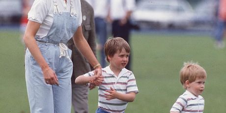 Princeza Diana i princ William - 2