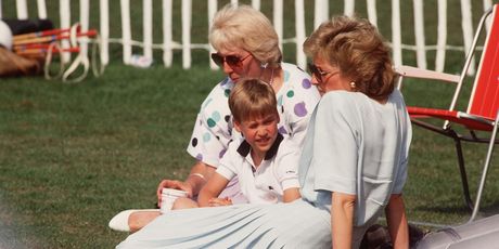 Princeza Diana i princ William - 6