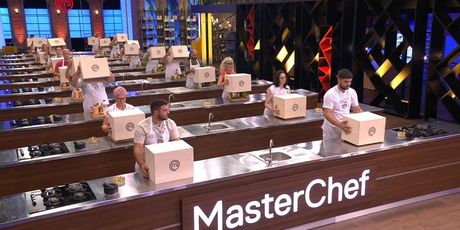 MasterChef - 11