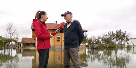 Vjeko, Blatnica