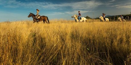 Ranch Terra - 12