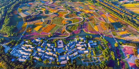 Šumski park Santaishan, Suqian, Kina - 1