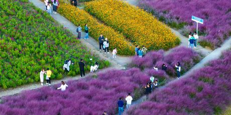 Šumski park Santaishan, Suqian, Kina - 4