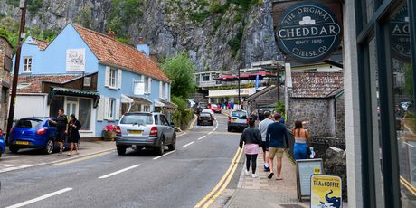 Cheddar