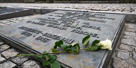 Predsjednik Milanović u muzeju Auschwitz-Birkenau odao počast žrtvama holokausta i nacističkih zločina - 7