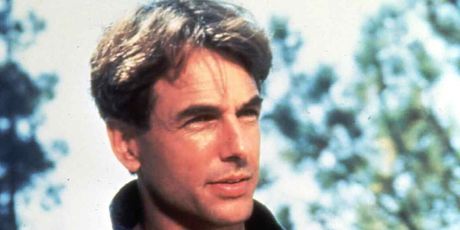 Mark Harmon - 33