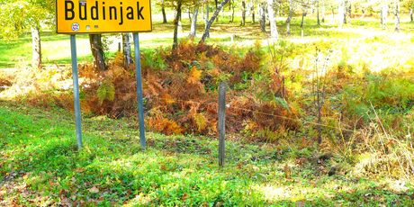 Budinjak - 22