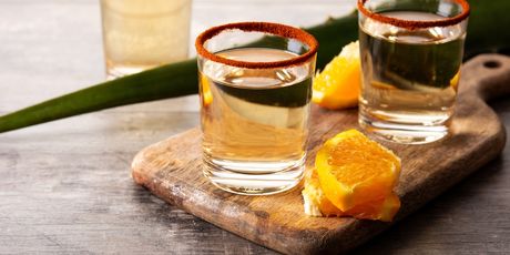 Mezcal - 2