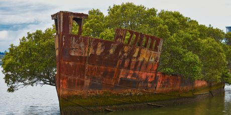 Homebush Bay - 1