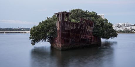 Homebush Bay - 2