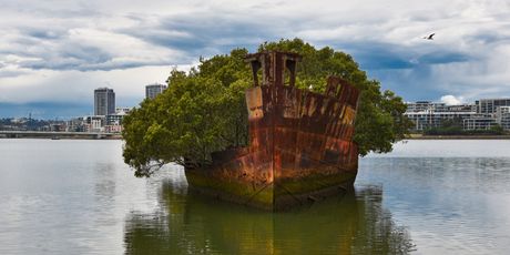 Homebush Bay - 3