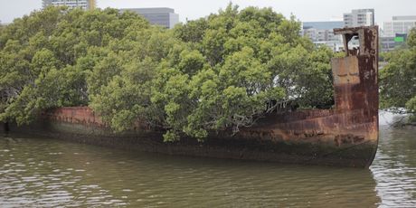 Homebush Bay - 4