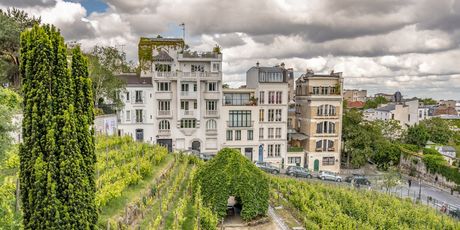Clos Montmartre - 4