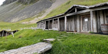 Kako su živjeli Vikinzi - 5