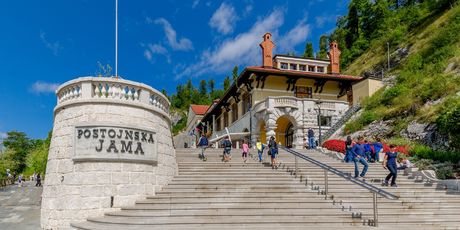 Postojnska jama - 4