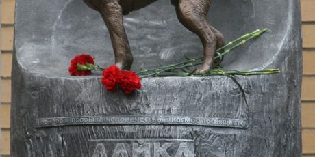 Lajka je dobila ime po ruskoj riječi za lajanje, a ima i svoj spomenik