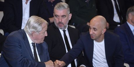 Zorislav Srebrić, Stipe Pletikosa i Petar Krpan