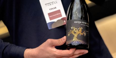 Dalmatinske Vinske Ikone - 22