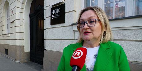 Vanja Dominović, Hrvatska gospodarska komora