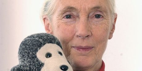 Jane Goodall - 18