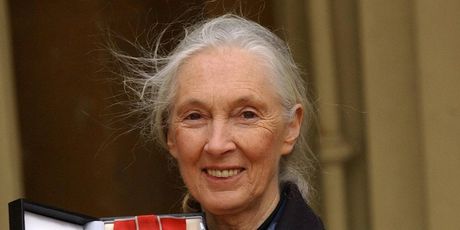 Jane Goodall - 21