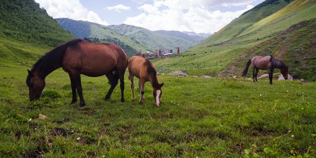 Ushguli - 3