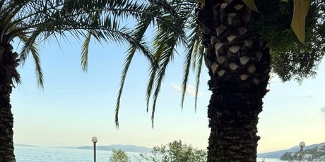 Maja Šuput, Šime Elez