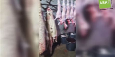 Zapljena pokvarene hrane - 1