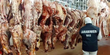 Zapljena pokvarene hrane - 3