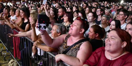 Halid Bešlić u Slavonskom Brodu - 2