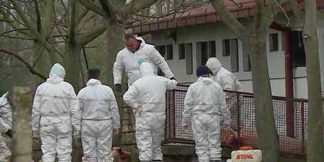 Veterinari traže pomoć - 1