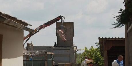 Veterinari traže pomoć - 2