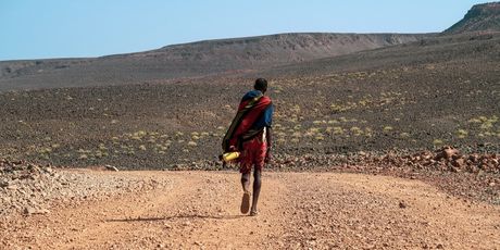 Turkana - 4